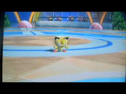 pokemon yaoi