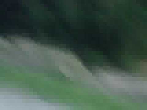 Repco Rally New Zealand 2008 Results Day One: Hirvonen leads as Loeb has problems on penultimate stage? YouTube Preview Image