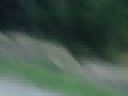 Sebastien Loeb at SS5 Mystery Creek