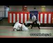 Takeda Ryu Tournament