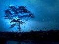Ramadan - Season of Ibadah - 2/2
