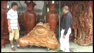 Trưng bày 1.300 tác phẩm sinh vật cảnh tại TP Uông Bí