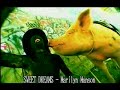 Marilyn Manson - Sweet Dreams