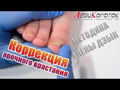 Образование. Воспитателям детских садов, школьным учителям Международные водительские права - получение водительского