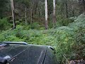 Oops, that was my head light
