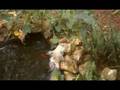 videos de Collins goes swimming