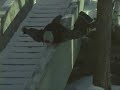Snowboarding Fun