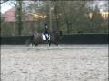 videos de Harveymoon III, Dressage, Felbridge, Novice 28, 22.11.2008