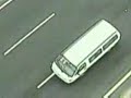 Cachorro salvando outro cachorro atropelado / dog saving another dog from highway