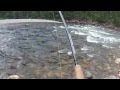 gaula 2012 10kg+ mista
