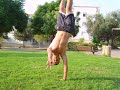 parkour and freerun in beit-shemesh, israel