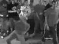 CDC Crowd War/Sanctuary Mosh Video