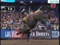 Adriano Moraes Rides