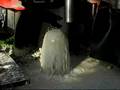 videos de artesian well flowing at 5psi and about 15-25 gpm