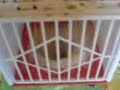ma piece d elevage