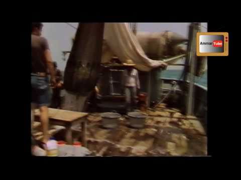 Kuwait A Dream Suspended - A Rare Documentary Film about Kuwait in the 80s