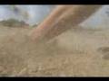 Desert-Boarding