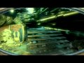 BIOSHOCK 2 - Part 06 - Release Day Walkthrough - Hard Difficulty