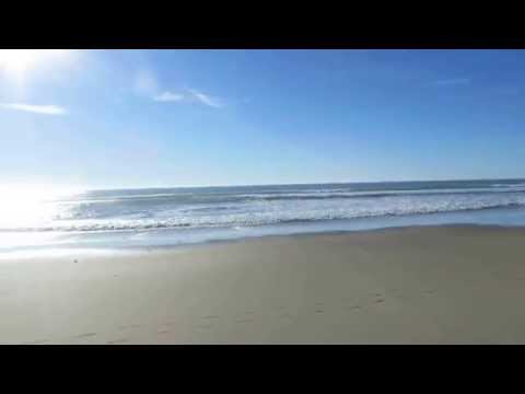 Video for Waddell Creek Beach