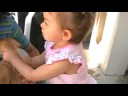 miribelle-the-puppies-.html