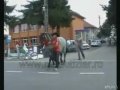 Horse kicks Moron