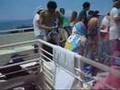 Ðàn Rùa Thần Nổi Lên Thăm Du Khách tại Maui Hawaii 2007
