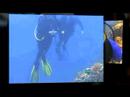 Bonaire's Something Special Webcam - Remix!