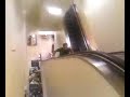 Stupid Kid