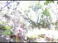 Weekend Project (Rappelling)