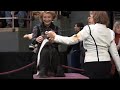 The 135th Westminster Dog Show ~ 2011 NYC  - Tibetan Terriers Ring 6