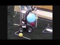Arroyo Robot Ramble