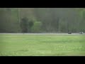 talladega