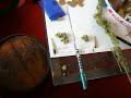Dutch Contaminated Coffeeshop Weed Cannabis