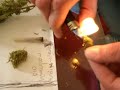 Contaminated/Grit/Grid/Vervuilde Coffeeshop Weed / wiet vs. Bio GrowDutch contaminated weed is spreading. There need to be control on the quality that is being sold. It's a perfect herb, but mixing nature with shit to make it more heavy (Baking meal, sugar, silicosis, etc..) or to look better after it's been through a hash machine (hairspray on cannabis to make the trichomes look awesome with no cristals left on them if you look through the microscope) is just a big health risk. The cannabis hardly burns up. Tastes sweet or acid like (lick a 9v battery). After burning it the trichomes stay in a grey glass/silicone original shape. Cannabis isn't addictive, but according to some friends of mine, the acid taste tastes like hard drugs to make it addictive. I found the case that smoking from some cofeeshops cannabis can be addictive. While smoking homegrown doesn't. Legalize it please :)I wish there was control on softdrugs. Systematic inspections need to be apllied with right to take samples directly behind the bar. Test it in a lab. If it's a fail take away the license and give it to someone that has better intentions with peoples health. Come on, you're selling a product thats being apllied for medical use or for fun. Here are some interesting links on the use of cannabis it can replace or contribute practicly everything, oil, medicine, clothing. make up, food etc... look it up ;)http://www.youtube.com/watch?v=GJmQ16cGBHUhttp://www.youtube.com/watch?v=VHWuD8a3INshttp://www.youtube.com/watch?v=3OqSRfzqwWACoffeeshops in The Netherlands don't fuck it up please.
