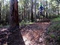 down hill track harris 1