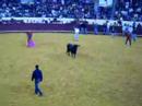 Toiro para \