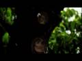 Testing Canon XL2 and Youtube - Slow Motion