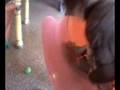 videos de Mas Pelotero.