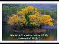 The holy Quran in Spanish - EL SAGRADO CORAN EN ESPAÑOL 1/2