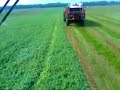 Pea Harvest Pea Harvest