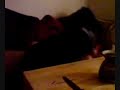 Andrew Toombs Impression - Cough