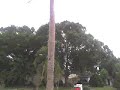Hurricane Wind