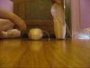 My dead old pointe shoes and my new grishko 2007\