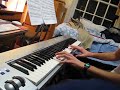 This is me playing my M-audio keystation 88es midi controller in my college dorm.  The sound is not that great, because it's coming out of speakers on my desk.  Also keep in mind that this does not have the richness of sound that a piano does. Please let me know how I can improve my playing.
Thanks