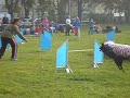 Agility Louny 14.10.06