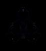 Buddhabrot Rendering Buddhabrot Rendering