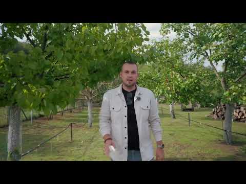 Video Prodej stavebního pozemku 1 764 m², Brod nad Dyjí
