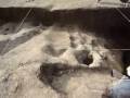 Guarda video