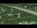 991A0001 1 FLV VIDEO STC