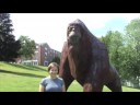 Click here to watch this video Hartwick Gigantopithicus Gag Reel